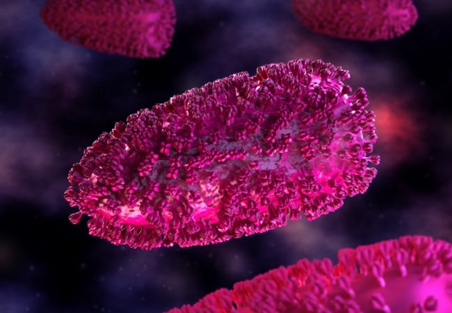 Vesicular Stomatitis Virus